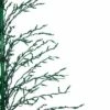 Northlight 6' Prelit Artificial Christmas Tree White Lighted Cascade Twig Outdoor Decoration - Green Lights -Outdoor Lighting Sales Shop unnamed file 1018