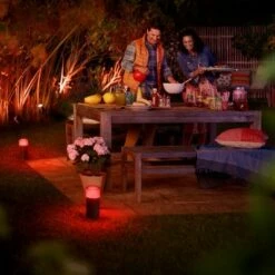 Philips Hue White & Color Ambiance Calla Outdoor Pathway LED Light Extension -Outdoor Lighting Sales Shop unnamed file 1374