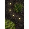 15 Pucks Seasons Mini LED Acrylic Landscape Lights Black - Enbrighten -Outdoor Lighting Sales Shop unnamed file 1405