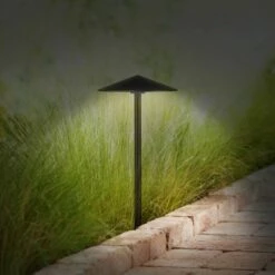 John Timberland Chesapeake Bronze Cone 3-Watt LED Landscape Path Light 9 John Timberland Chesapeake Bronze Cone 3-Watt LED Landscape Path Light -Outdoor Lighting Sales Shop unnamed file 1508