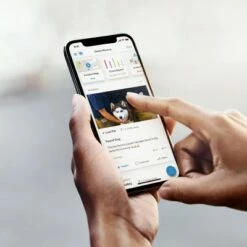 Smart Lighting Bridge White - Ring -Outdoor Lighting Sales Shop unnamed file 153