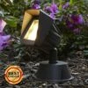 Super Duty Eastham 8" High Bronze LED Landscape Flood Light 1 Super Duty Eastham 8" High Bronze LED Landscape Flood Light -Outdoor Lighting Sales Shop unnamed file 2106