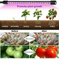 MPM 10 Dimmable Levels 4 Head Timing Grow Light with 3 Modes Timing Function, Adjustable Gooseneck, Red/Blue Spectrum, With Remote Control, For Indoor 10 MPM 10 Dimmable Levels 4 Head Timing Grow Light with 3 Modes Timing Function, Adjustable Gooseneck, Red/Blue Spectrum, With Remote Control, For Indoor -Outdoor Lighting Sales Shop unnamed file 2291