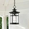 Franklin Iron Works Modern Outdoor Hanging Light Matte Black 13 3/4" Clear Seedy Glass Exterior House Porch Patio Outside Deck 1 Franklin Iron Works Modern Outdoor Hanging Light Matte Black 13 3/4" Clear Seedy Glass Exterior House Porch Patio Outside Deck -Outdoor Lighting Sales Shop unnamed file 2322