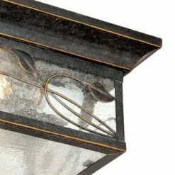 Franklin Iron Works Country Cottage Outdoor Ceiling Light French Bronze Leaf and Vine Motif 11" Clear Seedy Glass for Patio Porch -Outdoor Lighting Sales Shop unnamed file 299