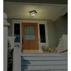 Franklin Iron Works Country Cottage Outdoor Ceiling Light French Bronze Leaf and Vine Motif 11" Clear Seedy Glass for Patio Porch -Outdoor Lighting Sales Shop unnamed file 301