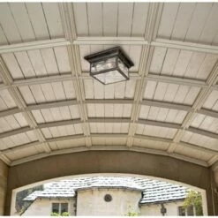 Franklin Iron Works Country Cottage Outdoor Ceiling Light French Bronze Leaf and Vine Motif 11" Clear Seedy Glass for Patio Porch -Outdoor Lighting Sales Shop unnamed file 302