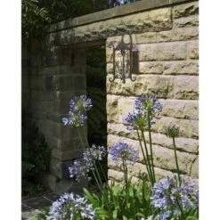 John Timberland Rustic Outdoor Wall Light Fixture Dark Walnut Iron Twists 18 1/2" Champagne Hammered Glass for Exterior House Deck -Outdoor Lighting Sales Shop unnamed file 3228