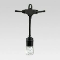 24ct Classic Café Outdoor String Lights Integrated LED Bulb - Black Wire - Enbrighten