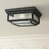 Feiss Shepherd 13"W Weathered Zinc Outdoor Ceiling Light -Outdoor Lighting Sales Shop unnamed file 353