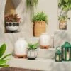 Opalhouse Designed With Jungalow Terracotta Outdoor Lantern Candle Holder White/Terracotta - Opalhouse™ designed with Jungalow™ -Outdoor Lighting Sales Shop unnamed file 389
