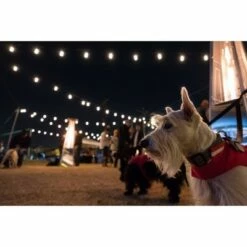 12ct Seasons Wi-Fi Classic Café Outdoor String Lights - Black Wire - Enbrighten -Outdoor Lighting Sales Shop unnamed file 46