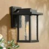 11" Metal/Glass Outdoor Wall Lamp Black - LNC